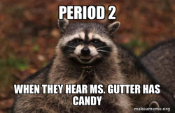 Evil Plotting Raccoon