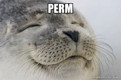 Satisfied Seal