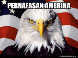 American Pride Eagle