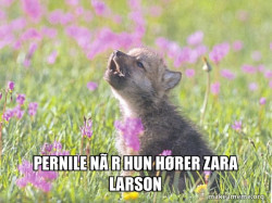Baby Insanity Wolf