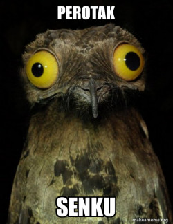 Weird Stuff I do Potoo