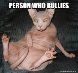 Hairless Cat
