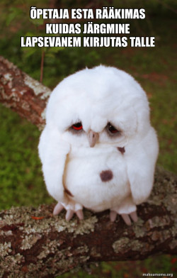 Sad Owl