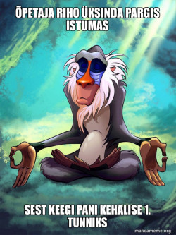 Rafiki Meditating - Lion King
