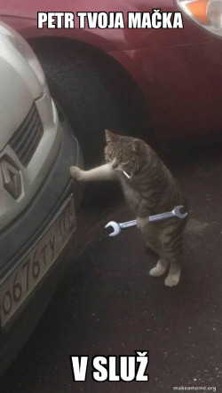 Mechanic Cat