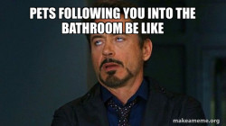 Tony Stark Eye Roll