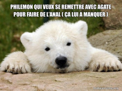 Popular Opinion Bear