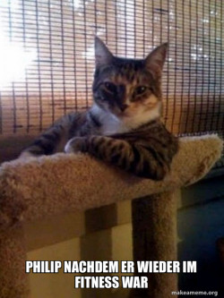 The Most Interesting Cat in the World