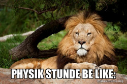 Contemplative Lion