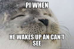 Satisfied Seal