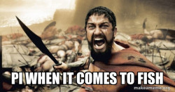 The 300