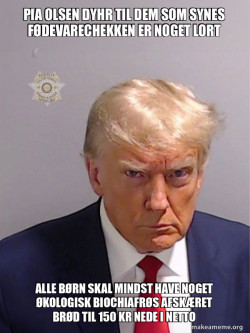 Donald Trump Mugshot