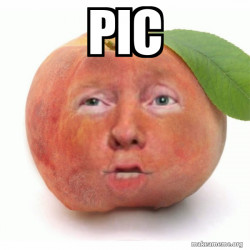 Impeached Donald Trump