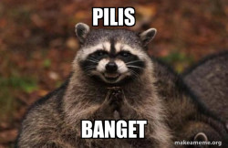 Evil Plotting Raccoon