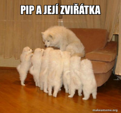 Storytelling Dog