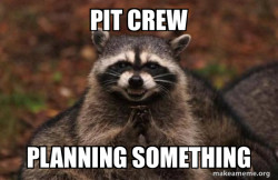 Evil Plotting Raccoon