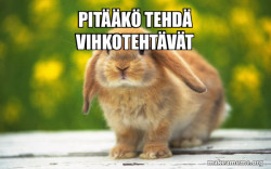 Regretful Rabbit