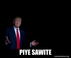 Trump Everything is FIne
