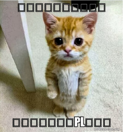 Cute Cat Standing