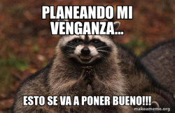 Evil Plotting Raccoon