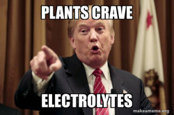 Donald Trump Says