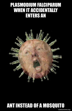 Trumpvirus TrumpPandemic