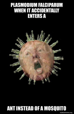 Trumpvirus TrumpPandemic