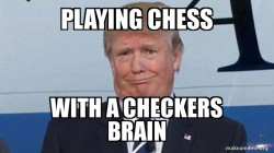 trump checkers brain