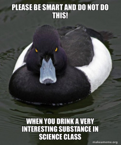 Revenge Duck ( Angry Advice Duck )