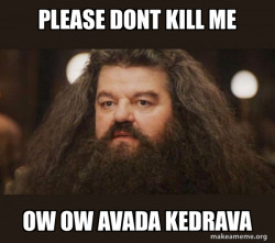 Hagrid - I should not have said that