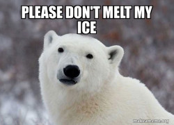 Popular Opinion Polar Bear