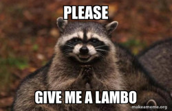 Evil Plotting Raccoon