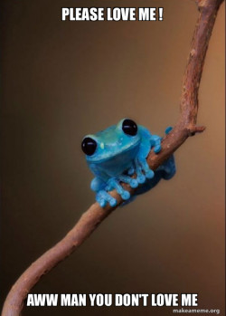 Small Fact Frog