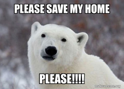 Popular Opinion Polar Bear