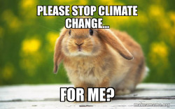Regretful Rabbit