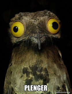 Weird Stuff I do Potoo