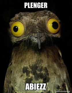 Weird Stuff I do Potoo