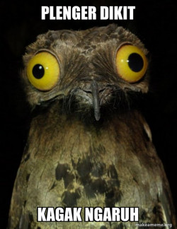 Weird Stuff I do Potoo