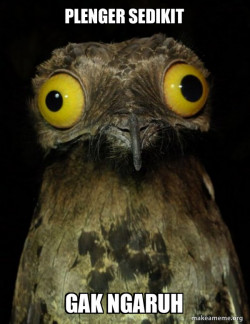 Weird Stuff I do Potoo