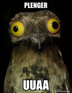 Weird Stuff I do Potoo