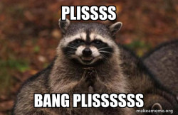 Evil Plotting Raccoon
