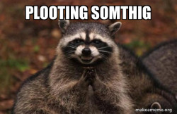 Evil Plotting Raccoon