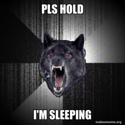 Insanity Wolf