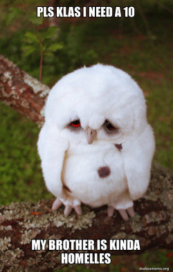Sad Owl