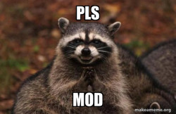 Evil Plotting Raccoon