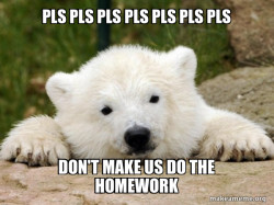 Popular Opinion Bear