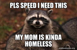 Evil Plotting Raccoon