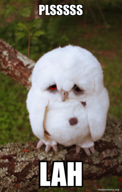 Sad Owl