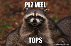 Evil Plotting Raccoon