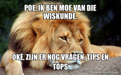 Confession Lion
